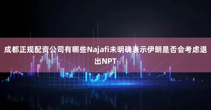 成都正规配资公司有哪些　　Najafi未明确表示伊朗是否会考虑退出NPT