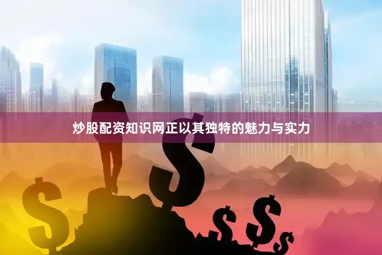炒股配资知识网正以其独特的魅力与实力