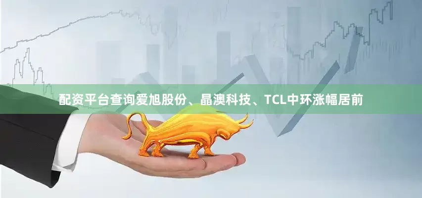 配资平台查询爱旭股份、晶澳科技、TCL中环涨幅居前